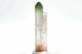 Bi-Colored Elbaite Tourmaline Crystal - Rubaya, DR Congo #206899-2